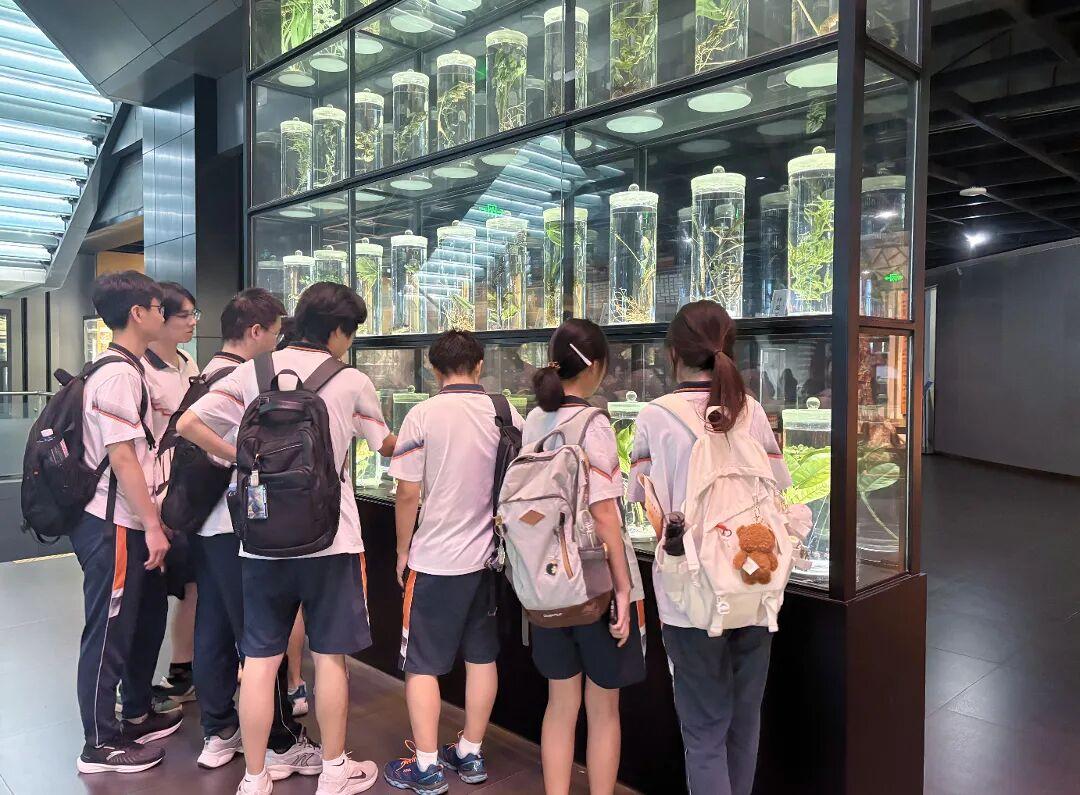 参观广东省中医药博物馆3.JPG.jpg