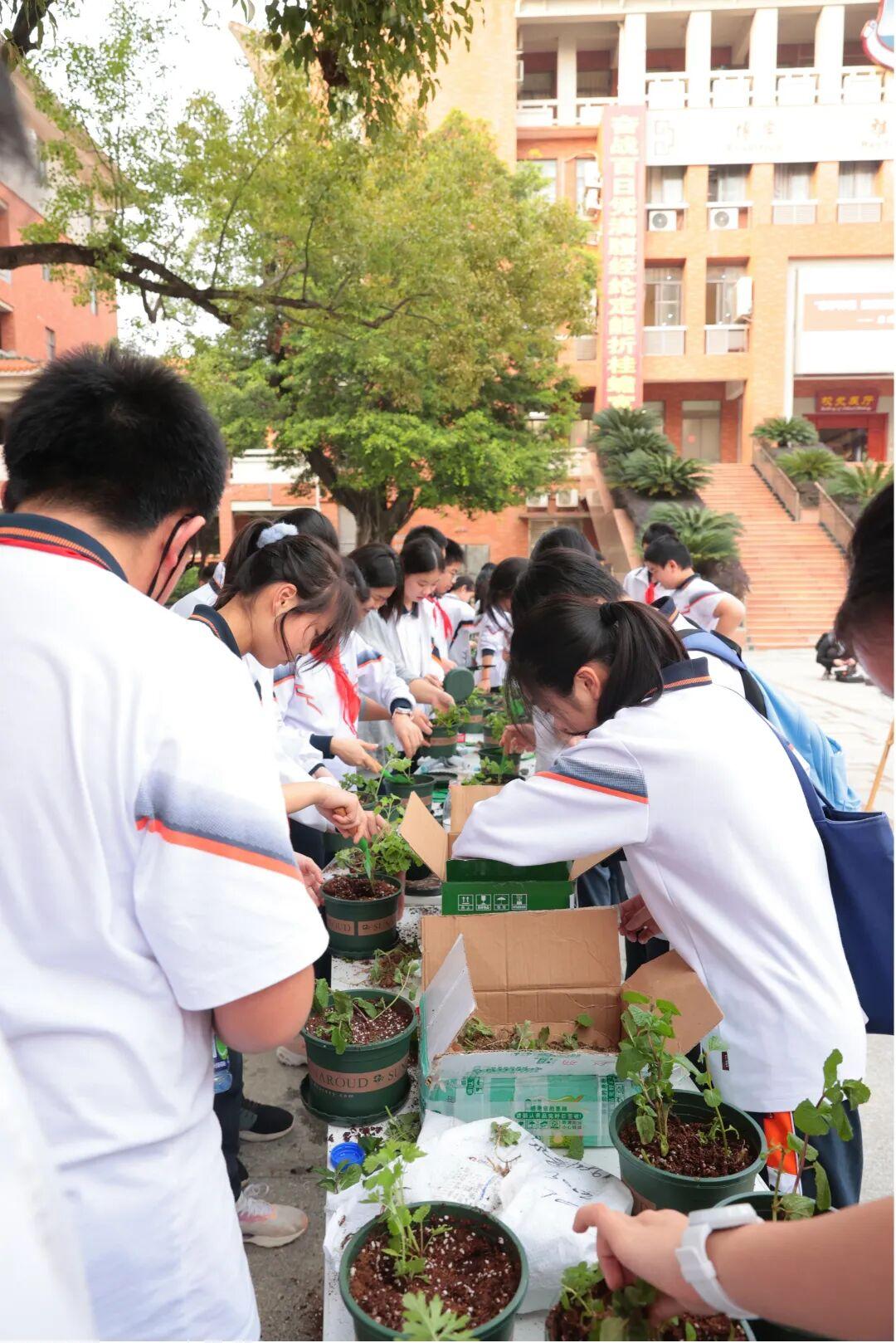 学生种植现场.jpg
