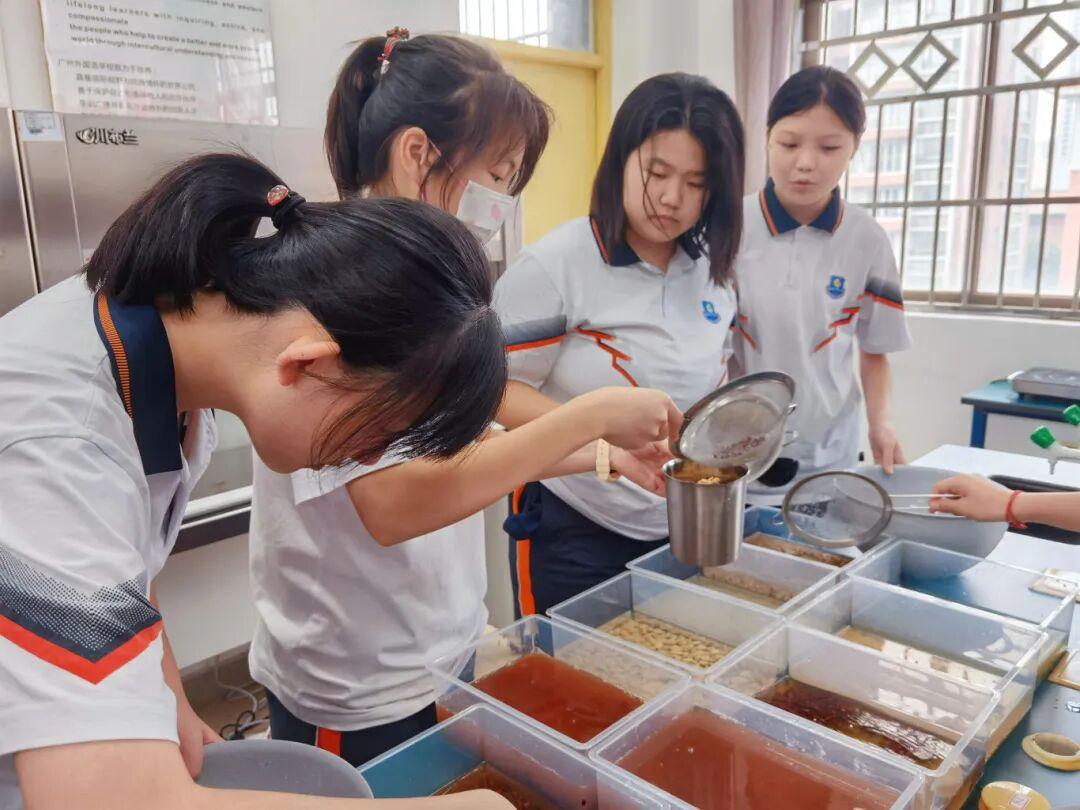 分辨祛湿豆类并制作祛湿粥.jpg